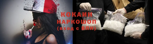 дживик Тихвин